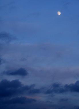Dramatischer Abendhimmel mit aufgehendem Mond - Gärtnern nach dem Mond für üppiges Grün
