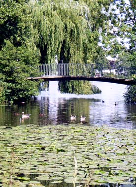Bogen-Brücke über Wasser im Grünen mit Seerosen und Enten