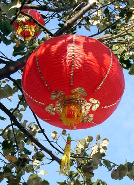 Bildmotiv zum Begriff "Lampion" Roter chinesischer Papierlampion zwischen grünen Blättern im Baum