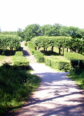 Der Tutenberg im Sommer - Boskette und Hecken
