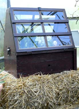 Schwere Holzkiste mit Verglasung 